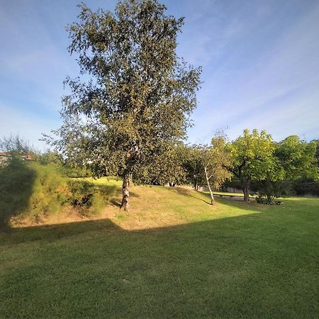 Appartement A Hendaye Avec Piscine Et A Cote De La Plage المظهر الخارجي الصورة